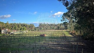 Land for sale in Nelas, Portugal — €45,000