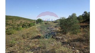 Terreno em Soure