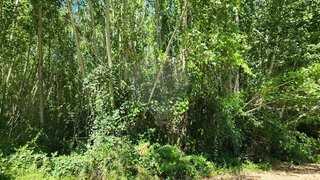 Land for sale in Ferreira do Zêzere, Portugal — €17,500