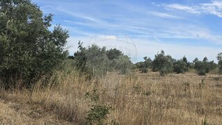 Land for sale in Alcanena, Portugal — €10,750