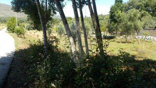 Land for sale in Porto de Mós, Portugal — €120,000