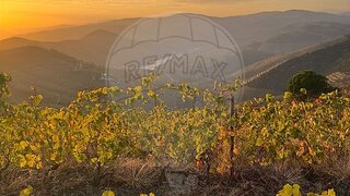 Land for sale in São João da Pesqueira, Portugal — €105,000