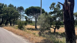 Land for sale in Ponte de Sor, Portugal — €110,000