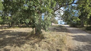 Land for sale in Entroncamento, Portugal — €65,000