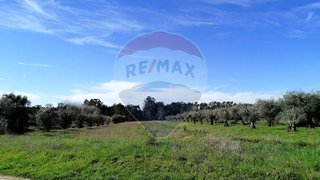 Land for sale in Pombal, Portugal — €12,900