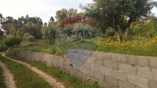 Land for sale in Tomar, Portugal — €4,300