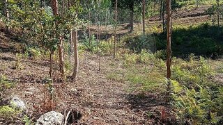 Land for sale in Vieira do Minho, Portugal — €59,900