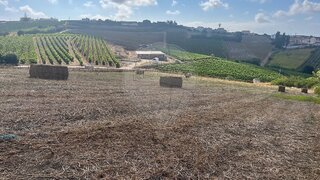 Land for sale in Torres Vedras, Portugal — €225,000