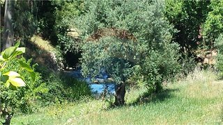 Land for sale in Pombal, Portugal — €25,900