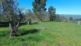 Land for sale in Gouveia, Portugal — €45,000
