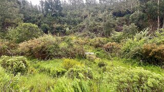 Terreno em Odemira