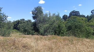 Land for sale in Penamacor, Portugal — €4,845