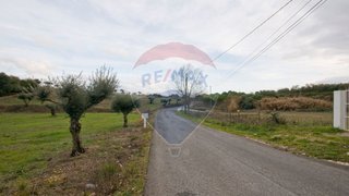 Terreno de 5760 m² em Santarém