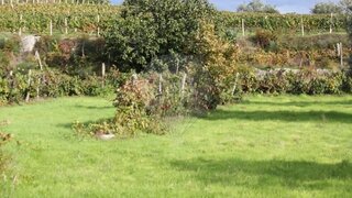 Land for sale in Penalva do Castelo, Portugal — €14,500