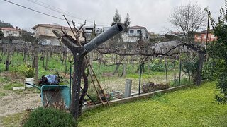 Land for sale in Vizela, Portugal — €115,000