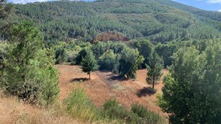 Terreno em Guarda