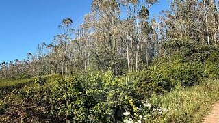 Land for sale in Nazaré, Portugal — €25,000