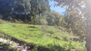Land for sale in Oliveira de Azeméis, Portugal — €76,000