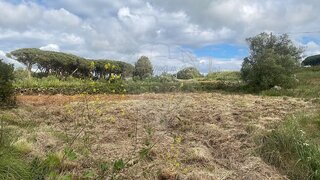 Land for sale in Sintra, Portugal — €25,000
