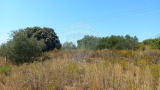 Land for sale in Alcanena, Portugal — €45,500