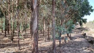 Land for sale in Penamacor, Portugal — €18,000