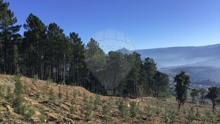 Land for sale in Celorico de Basto, Portugal — €95,000