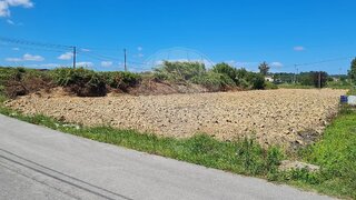 Land for sale in Anadia, Portugal — €49,900