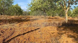 Land for sale in Loulé, Portugal — €60,000