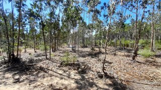 Land for sale in Pombal, Portugal — €3,500