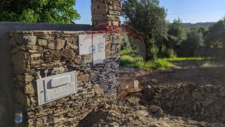 Land for sale in Tomar, Portugal — €50,000
