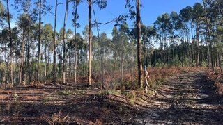 Terreno em Leiria · 2080 m² · 107 000 €