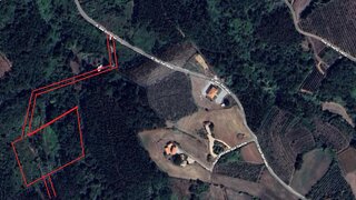 Terreno em Alcobaça