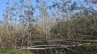 Terreno em Ourém