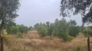 Land for sale in Tomar, Portugal — €14,750