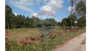 Land for sale in Anadia, Portugal — €72,500