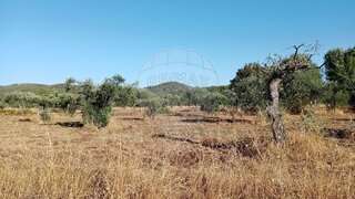 Land for sale in Penamacor, Portugal — €16,900