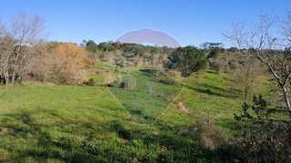 Land for sale in Pombal, Portugal — €26,000