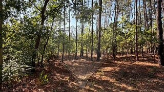 Land for sale in Oliveira de Azeméis, Portugal — €49,000