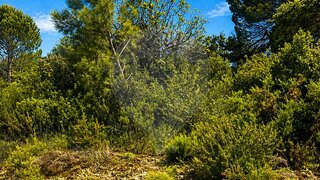 Land for sale in Torres Novas, Portugal — €44,000