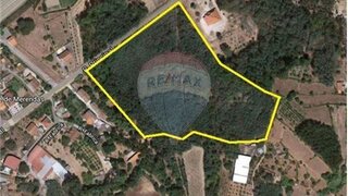 Land for sale in Santa Comba Dão, Portugal — €125,000