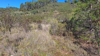 Land for sale in Castelo Branco, Portugal — €16,500