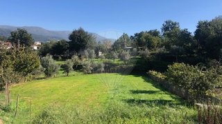 Terreno em Seia