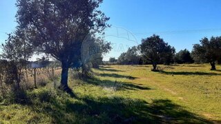 Land for sale in Reguengos de Monsaraz, Portugal — €15,800