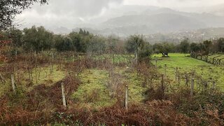 Land for sale in Arcos de Valdevez, Portugal — €19,000