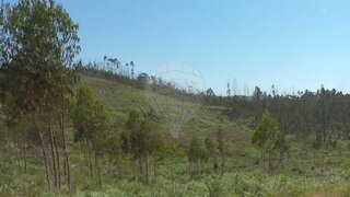 Land for sale in Ourém, Portugal — €70,000