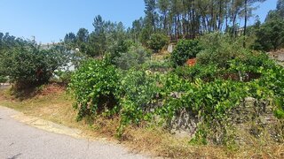 Land for sale in Sertã, Portugal — €29,900