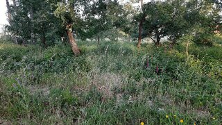 Land for sale in Pombal, Portugal — €25,000