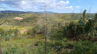 Land for sale in Ansião, Portugal — €15,000