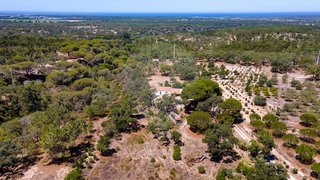 Land for sale in Grândola, Portugal — €550,000