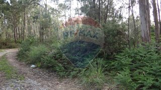 Terreno em Espinho